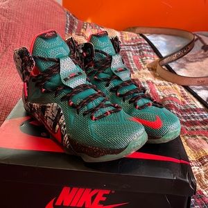 2014
LeBron 12 Xmas 'Akron Birch'